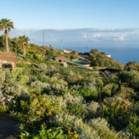 El Hierro Finca hacia abajo