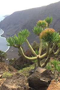 El Hierro Sendero Las Playas