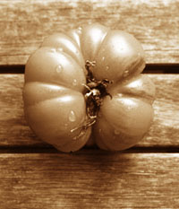 tosk 005