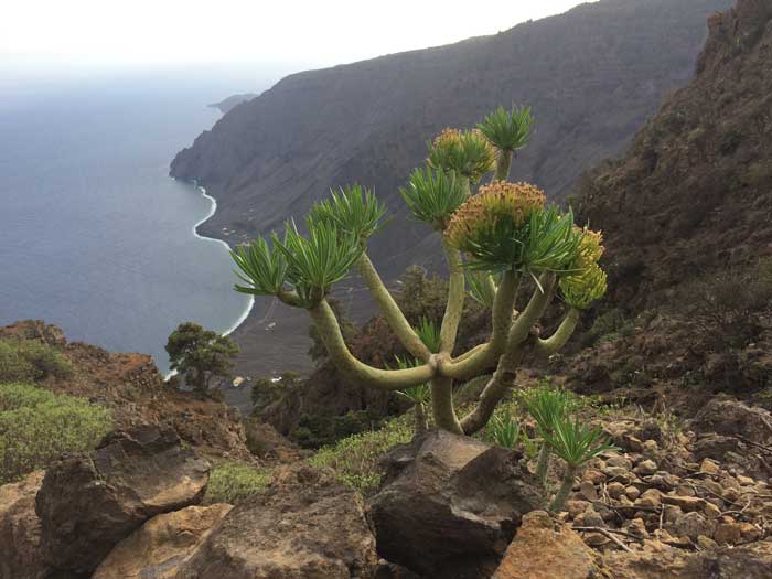 Travel - the new project on El Hierro